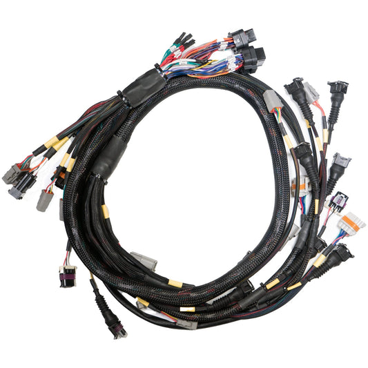 Link-Terminated Engine Harness GM LS GEN3/4